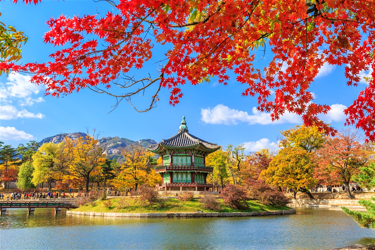 skypark holidays-Korea