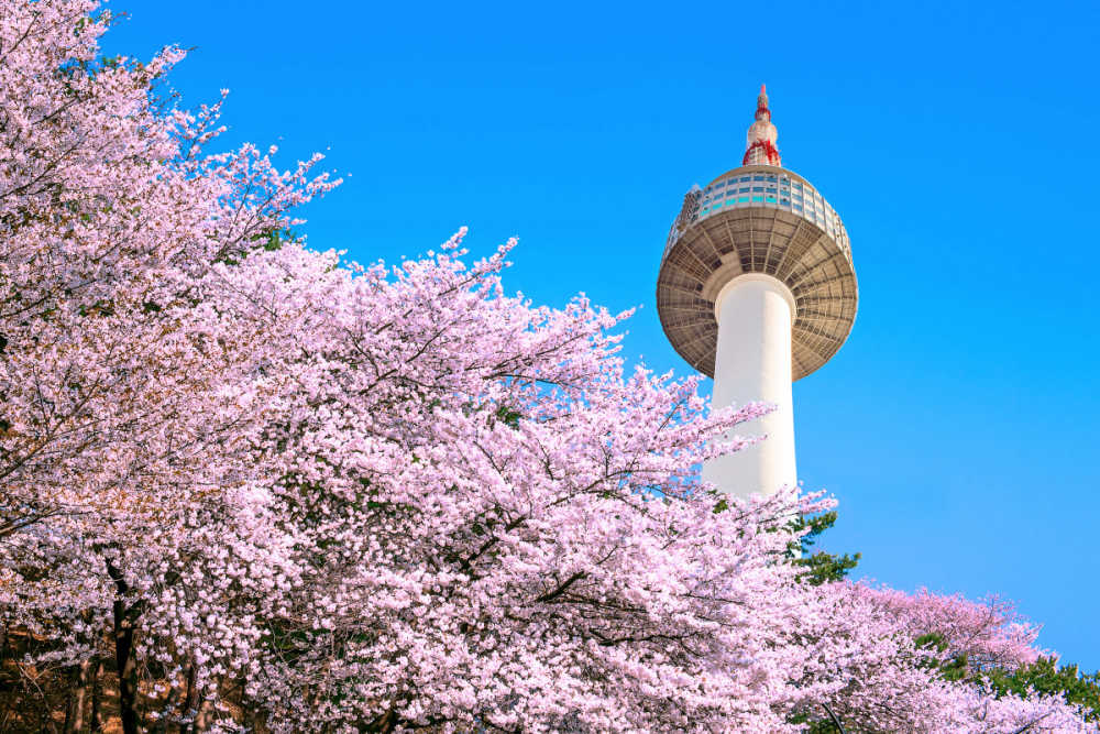 skypark holidays-Korea